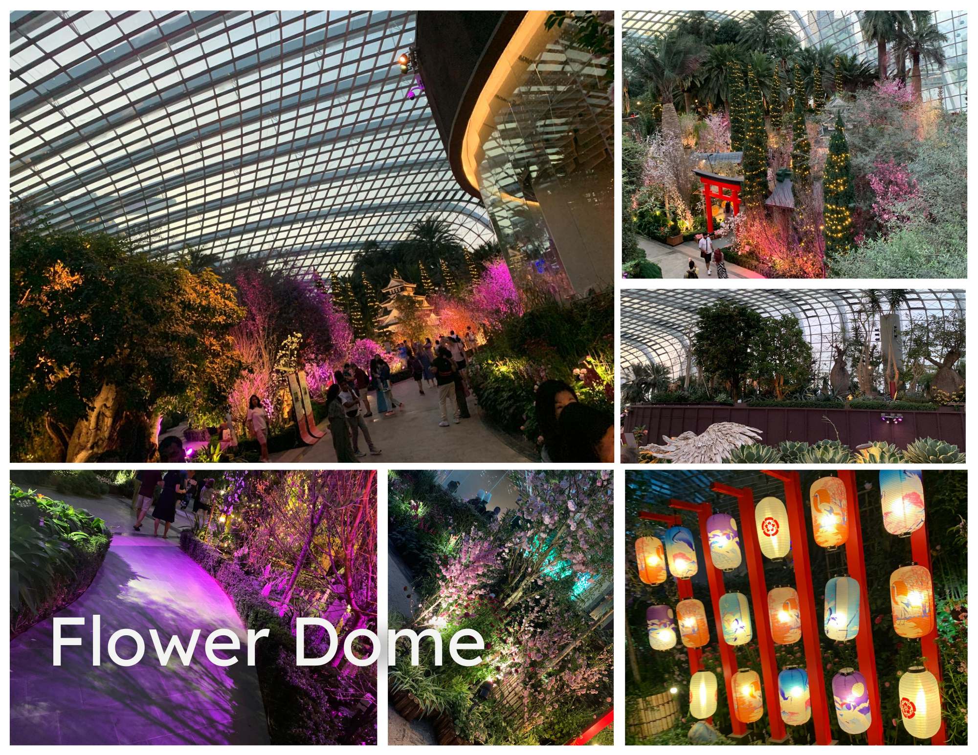 Flower Dome - Botanical Paradise