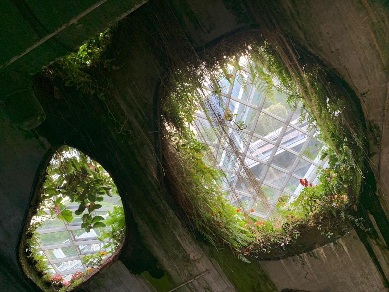 Biophilic Interior Design