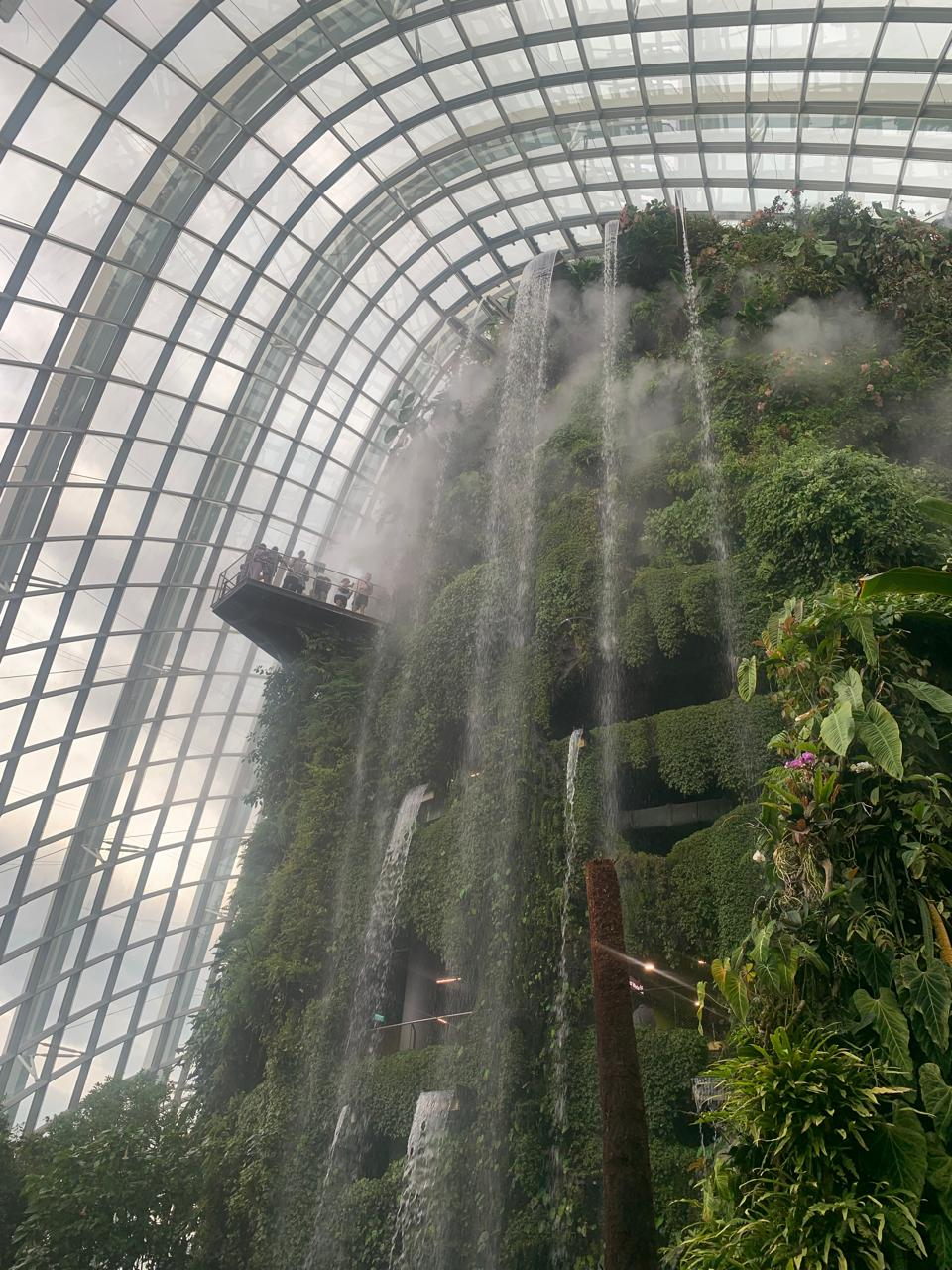 Cloud Forest Waterfall