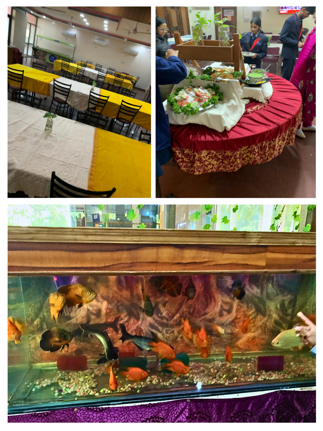 Event & Aquarium Exploration